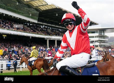 brown advisory plate cheltenham|Brown Advisory Novices' Chase .